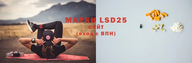 винт Майский