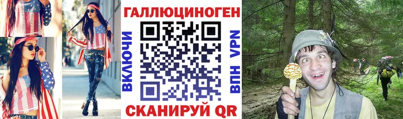 Галлюциногенные грибы GOLDEN TEACHER  Купить закладки  Копейск 