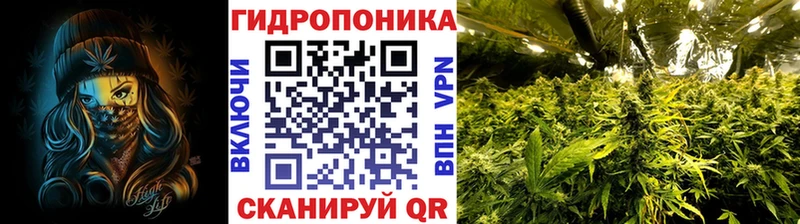 Шишки марихуана конопля  Купить где  Копейск 